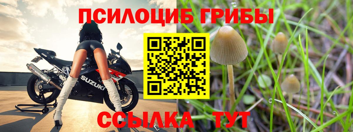 Псилоцибиновые грибы прущие грибы Чита