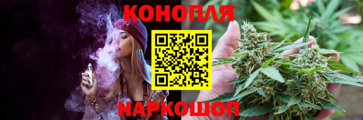 Бошки Шишки тримм Чита